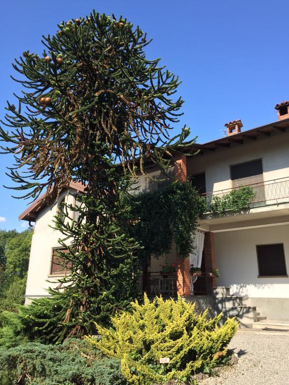 La Casa Creativa Bed & Breakfast Lomnago Exterior photo